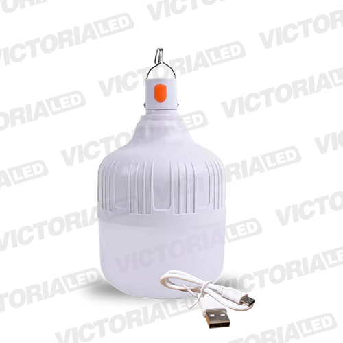 FOCO LED RECARGABLE 30W 6500K 100U/C