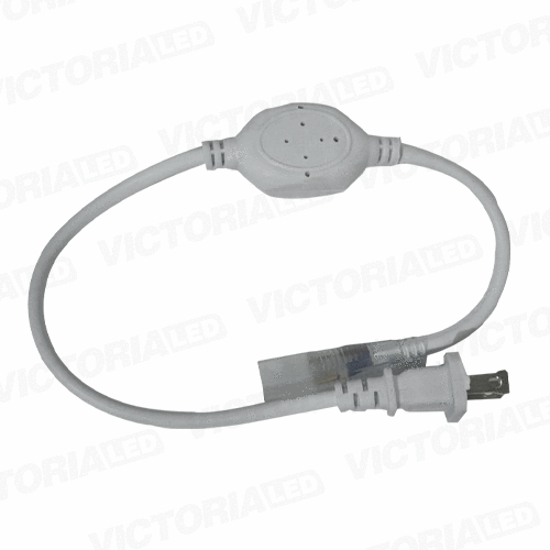 EVA CONTROLADOR 5050 6MM 110V