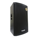 PARLANTE BAZZUKA PROFESIONAL 15 PRO 500WATTS RMS BT/USB